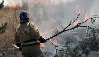 حرائق الغابات في روسيا