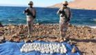 السعودية تحبط محاولة تهريب شحنة مخدرات