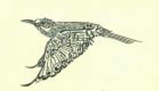 الإمارات تحيي الخط العربي في ذكرى انفجار بيروت