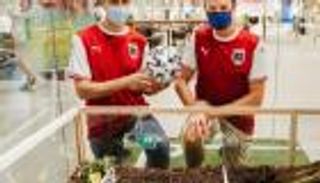 في حرب الفراولة والمشمش.. "سلحفاة" تتوقع بطل يورو 2020