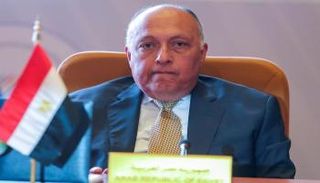وزير الخارجية المصري سامح شكري- أرشيفية