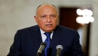 وزير الخارجية المصري سامح شكري