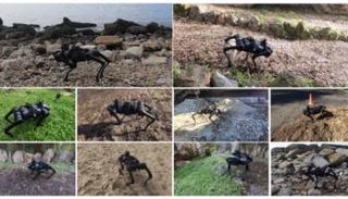 مشروع لتعليم "كلب آلي" يعمل بالذكاء الاصطناعي كيفية السير في الظروف المختلفة