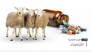 موجز العين الإخبارية الاقتصادي