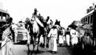 صور.. "من الجمال للروبوتات": تطور الحج بين الماضي والحاضر