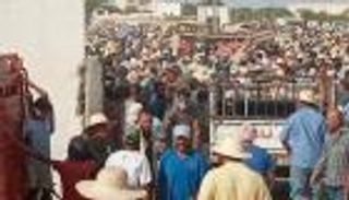 عيد الأضحى في تونس.. "رائحة الموت أقوى من طعم الفرحة"