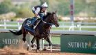 كم عدد ميداليات السعودية في الأولمبياد طوال التاريخ؟