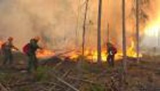 دخان الحرائق يخنق 100 قرية روسية