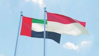 مساعدات طبية إماراتية إلى إندونيسيا- تعبيرية