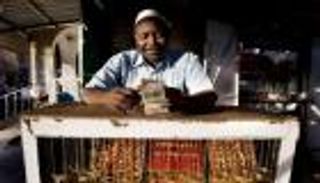 أسعار الذهب اليوم الأحد 25 يوليو 2021 في السودان