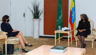 روزماري ديكارلو