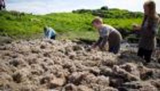 لحاف الأثرياء.. رحلة البحث عن أغلى ريش في العالم