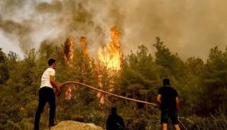 حرائق الغابات مشتعلة في تركيا 