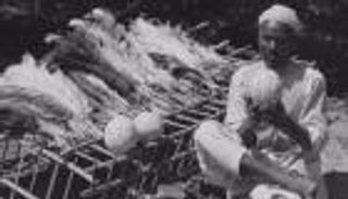 دعوة زفاف ملكية على قشر بيض نعام توثق تاريخ مهنة منقرضة