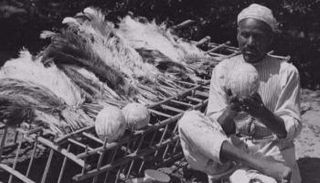 الرسم على بيض النعام مهنة أصبحت منقرضة في مصر