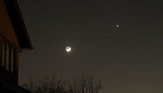 كوكب الزهرة سيظهر للراصد بالعين المجردة كنقطة ضوئية بيضاء ساطعة