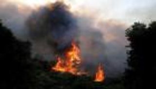 الحرائق تواصل التهام غابات أثينا.. وإجلاء السياح بالقوارب