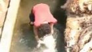 فيديو صادم.. تعذيب كلب يشعل موجة غضب في لبنان