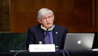 فرانسيس كولنز 