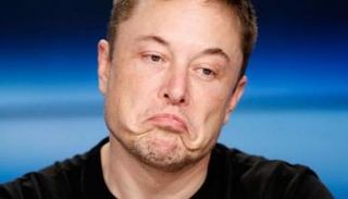 الملياردير الأمريكي إيلون ماسك