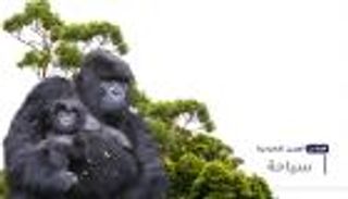 موجز "العين الإخبارية" للسياحة.. أول رحلة روسية ورحلات تتبع الغوريللا