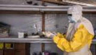 غينيا ترصد أول إصابة بفيروس "ماربورج" الشبيه بإيبولا