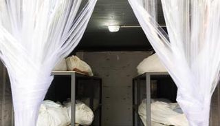 وفيات كورونا في تايلاند