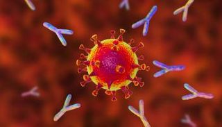 الأجسام المضادة بعد 7 أشهر من الإصابة