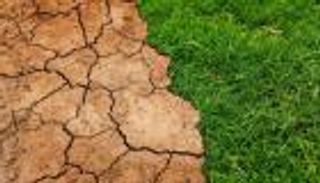 القادم أسوأ.. العالم يقترب من مناخ عصر "ما بعد انقراض الديناصورات"