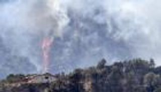 الرئيس الجزائري: أغلب الحرائق تسببت فيها أياد إجرامية