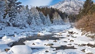 هزة أرضية بقوة 5.4 درجة تضرب منطقة كوزباس في سيبيريا