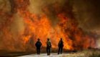 حرائق الغابات وزيادة وفيات كورونا.. ما العلاقة؟