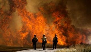 حرائق الغابات تتفاقم حول العالم