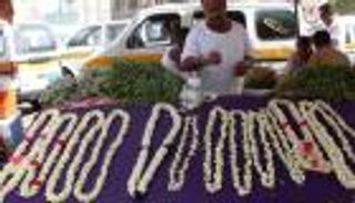 رفيق الفاتنات بليالي الفرح.. "الفل" هدية الحب العتيقة في اليمن