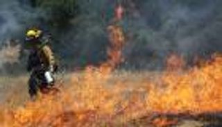 حرائق الغابات.. 9 نصائح مهمة تمنع الكارثة