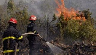 حرائق غابات في المغرب- أرشيفية