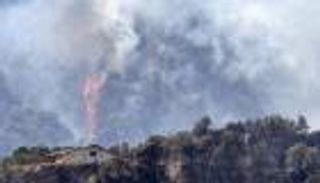 الذكاء الاصطناعي يفضح الخداع البيئي للشركات.. التمويه الأخضر