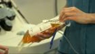 بلازما الدم.. أهميتها وكيفية التبرع بها