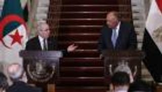 حرائق الغابات.. دعم وتضامن مصري مع الجزائر 