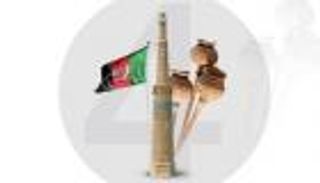 الأفيون الأفغاني و"دماغ" طالبان.. هل تتخلى"الحركة" عن التجارة المحرمة؟