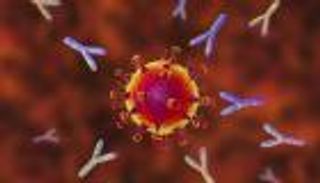 أمل جديد لكبح كورونا.. "جسم مضاد" يحمي من تحورات الفيروس