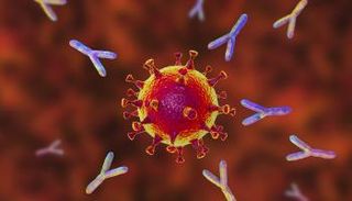 علماء يتوصلون لجسم مضاد يحمي من مجموعة واسعة من متغيرات كورونا