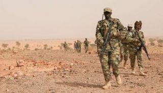 عناصر من الجيش التشادي (أرشيفية)