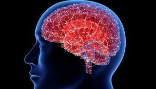 اكتشاف العلماء يعزز من اكتشاف علاج لمرض ألزهايمر - صورة تعبيرية