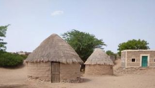 العشّة التهامية