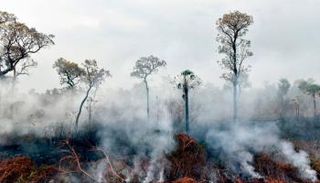 حرائق مفتعلة في بوليفيا