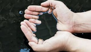 مخزونات النفط الأمريكية تفقد 3 ملايين برميل والخام يصعد