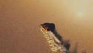 ماذا تقدم سوبارو لعشاقها؟.. لمحة عن مواصفات WRX موديل 2022