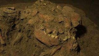 بعض بقايا الهيكل العظمي