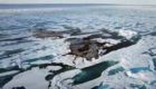 صور.. الصُدفة تقود لاكتشاف جزيرة جديدة في أقصى شمال العالم